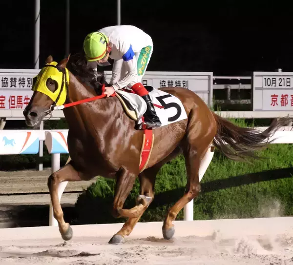 【阪神アーバン競馬】最低９番人気、単勝１万４３６０円の伏兵が大激走Ｖ　園田８ＲのイスラアズールにＳＮＳ仰天「えっ？」