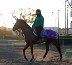 日曜中山競馬場の注目激走馬…中山１１Ｒアメリカジョッキークラブカップ・Ｇ２