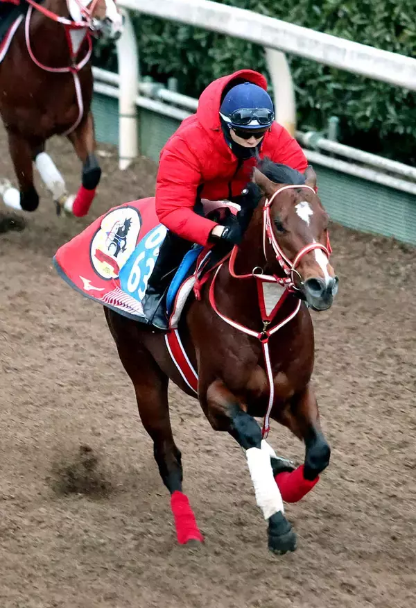 リヤドダートスプリントの招待を受諾のアメリカンステージが坂路で軽快　陣営「時計も出てたし、いい動き」