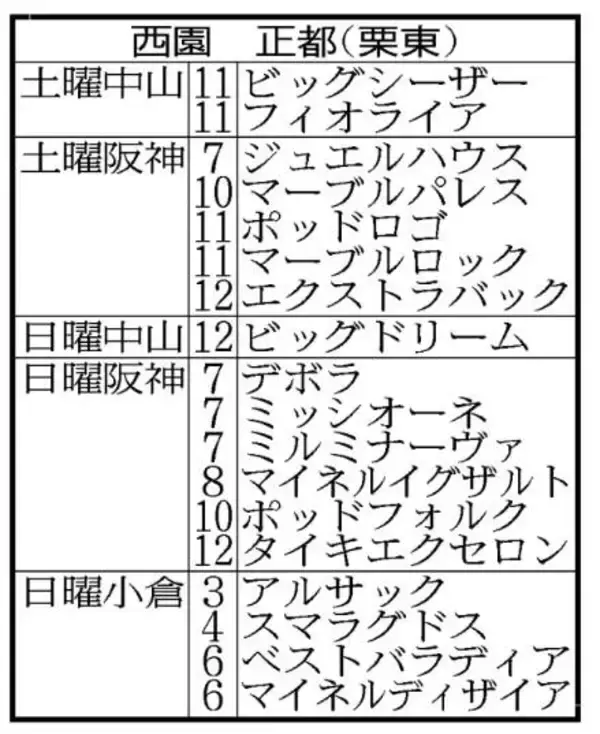 「こんなに使ったことあったっけ？」西園正調教師ラストウィークは１８頭出し！オーシャンＳでの有終Ｖ狙う