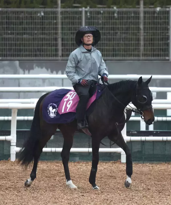 ギリギリ桜花賞切符獲得の牝馬クラシック有力馬に「あぶねー」「凄い脚」　猛追アランカールは武豊騎手と初コンビで３着