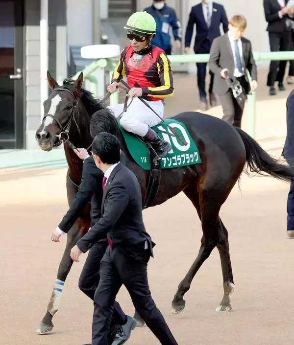 【中山牝馬Ｓ】１番人気のアンゴラブラックはまさかの１３着　戸崎圭太騎手「馬場が悪いところで反応がなかった」