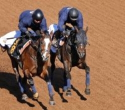 【スプリングＳ】進化見せるクレパスキュラーが無傷で重賞タイトルへ　栗田調教師「大きな舞台でも通用する」