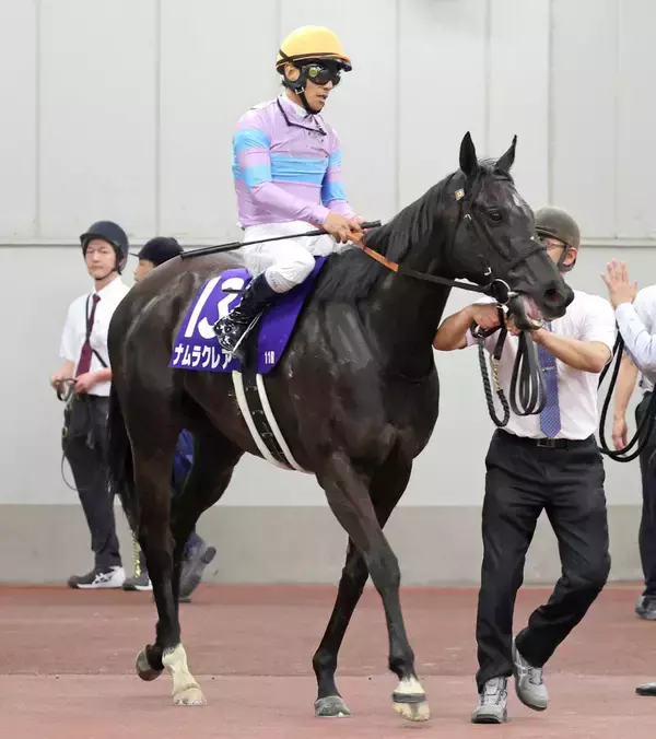 「【高松宮記念】３年連続２着のナムラクレアは６着　浜中俊騎手「ものすごく申し訳ないです」有終のＧ１初Ｖならず」の画像