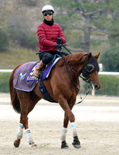 【大阪杯】２４年のダービー馬ダノンデサイルが国内外Ｇ１・３勝目へ　安田調教師「すごく動いているなという感じ」