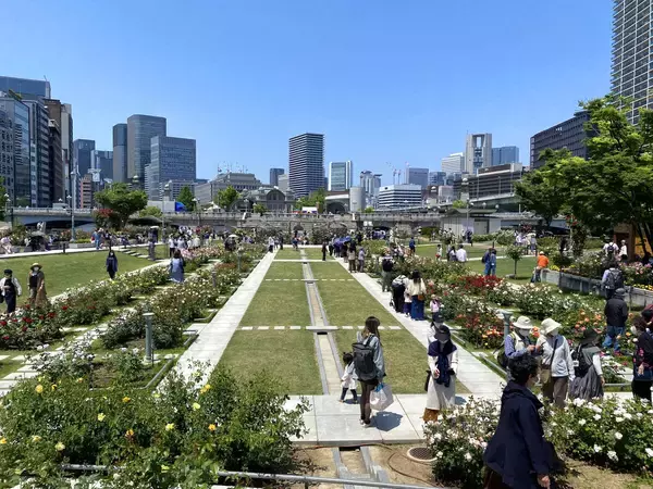 中之島公園などで春バライベント「奥深いバラの世界をお楽しみください」大阪市