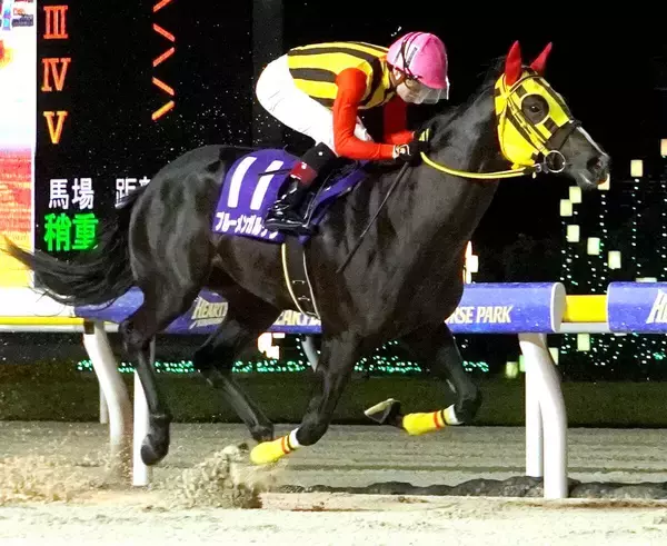 川島正一厩舎が１、２着を独占　ブルーメンガルテンが若潮スプリント制覇