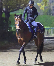 【ジュライＣ】サトノレーヴは直線盛り返すも３着...海外Ｇ１初勝利ならず　武豊騎手のアグネスワールド以来の日本調教馬Ｖ狙うも