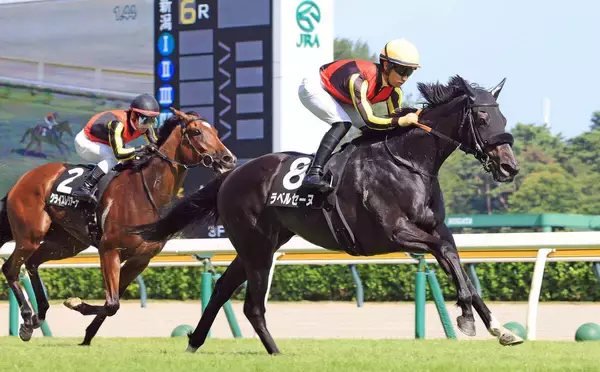 【新潟６Ｒ・三面川特別】３歳馬ラベルセーヌが最速３２秒３の切れ味で賞金加算に成功　荻野極騎手「最後は素晴らしい反応」