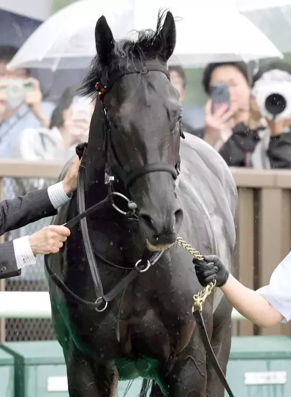 【３０日の注目・新潟７Ｒ】Ｇ１・４勝馬クロワデュノールの全弟チャリングクロスが３勝クラスに登場