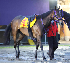 【アイルランドＴ】ジョスランが兄の活躍を追い風に重賞２勝目へ　鹿戸調教師「いい競馬をしないと先には進めないので」