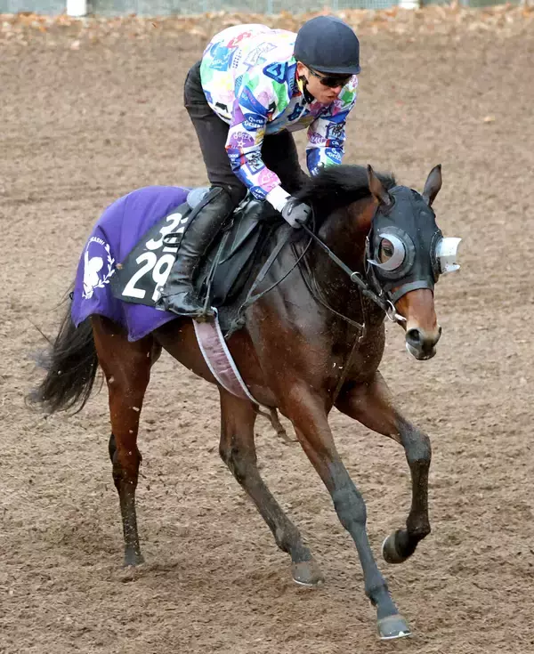 【シンザン記念】厩舎の期待馬サウンドムーブが３戦目で重賞取りへ　斉藤崇調教師「１６００メートルも対応できる」