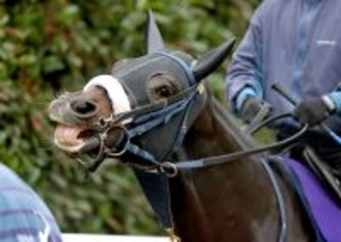 ２０２５年京都２歳Ｓ覇者ジャスティンビスタが骨折　全治３か月以上の見込み