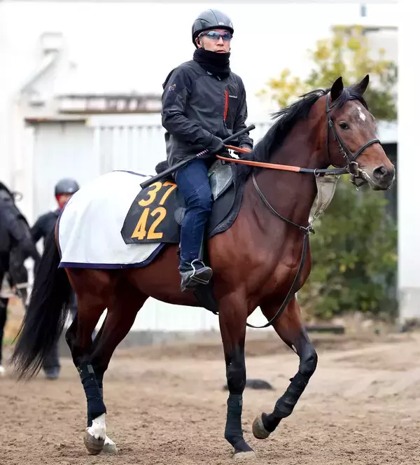 【ＰＯＧ】すみれＳを目指すラージアンサンブルがグングン良化　武井調教師「パワーアップが著しい」