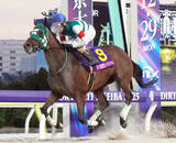 「【川崎競馬】優秀競走馬・優秀厩舎関係者の受賞馬・者が決定　ホーリーグレイルが最優秀競走馬」の画像1