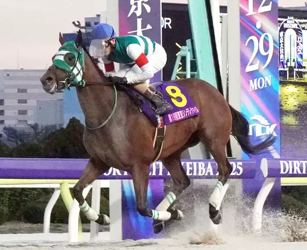 【川崎競馬】優秀競走馬・優秀厩舎関係者の受賞馬・者が決定　ホーリーグレイルが最優秀競走馬