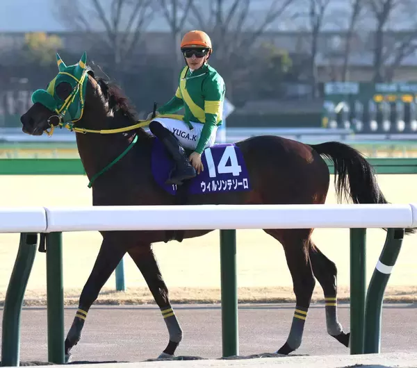 【注目馬動向】中東情勢の影響を受けウィルソンテソーロはドバイ遠征中止　かしわ記念へ　