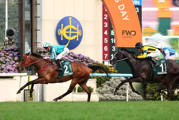 【ＱＥ２世Ｃ】やっぱり強い！ロマンチックウォリアーが１４度目のＧ１勝利　世界歴代最高を更新する獲得賞金５４億円超に