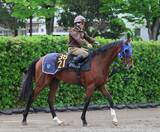 「日曜東京競馬場の注目激走馬…東京１１Ｒプリンシパルステークス（Ｌ）」の画像1
