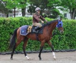 日曜東京競馬場の注目激走馬…東京１１Ｒプリンシパルステークス（Ｌ）
