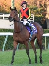 【注目馬動向】レガレイラが宝塚記念で４年連続Ｇ１勝利へ　６日に美浦トレセン帰厩　サンデーサラブレッドクラブ発表