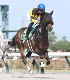 「【注目馬動向】東海Ｓで１番人気３着のドンインザムードは武蔵野Ｓで巻き返しを狙う　東京コースとは相性抜群」の画像1