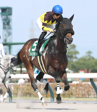 【注目馬動向】東海Ｓで１番人気３着のドンインザムードは武蔵野Ｓで巻き返しを狙う　東京コースとは相性抜群
