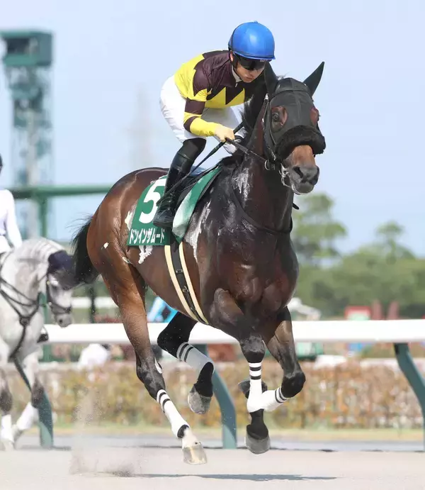 【注目馬動向】東海Ｓで１番人気３着のドンインザムードは武蔵野Ｓで巻き返しを狙う　東京コースとは相性抜群