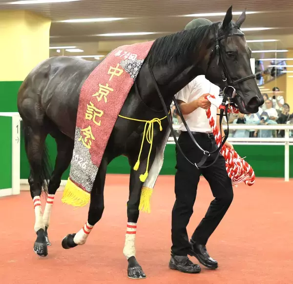 【注目馬動向】先週の中京記念Ｖのラヴァンダは連覇のかかるアイルランドＴへ