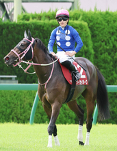 【ローズＳ】重賞馬タイセイボーグまさかの最下位　チューリップ賞以来６か月半ぶり復帰戦も１２着　