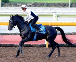 【京都大賞典】昨年覇者の８歳ディープモンスター４着　浜中俊騎手「去年と同じイメージで…」産駒３連覇でストップ
