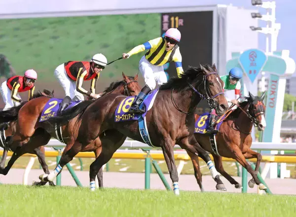 【東京５Ｒ・２歳新馬】２・７億円のラニアケアはインで詰まったまま終戦の６着　姉は２冠牝馬スターズオンアース