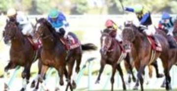 またもや謎のトレンド入り！「えっ」「おもしろすぎる」「全然違っとった」ネット大盛り上がり　人気馬が実装化