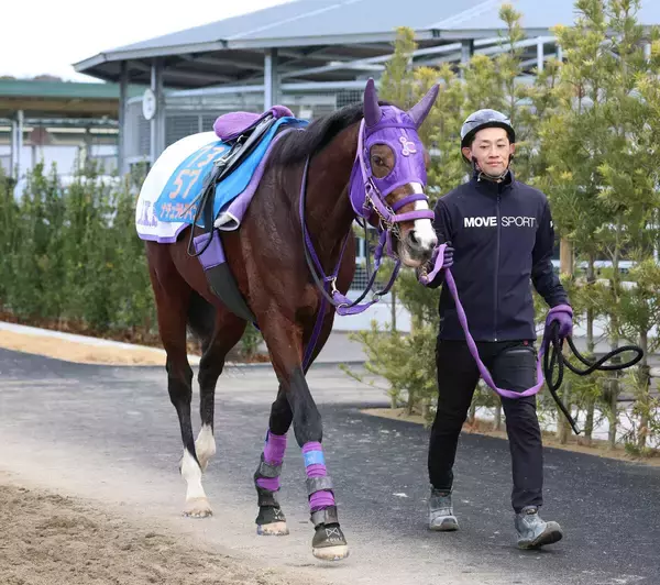 【フェブラリーＳ・２週前】巻き返しを期すダート２冠馬ナチュラルライズ　横山武史騎手「今回は毛ヅヤが違う」