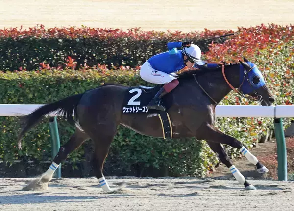 【東京１０Ｒ・バレンタインＳ】ウェットシーズン鮮やか逃げ切り　近走の悔しさ晴らす白星に三浦皇成騎手も喜び