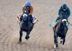 【フェブラリーＳ】シックスペンスは軽快な走りで併入　初騎乗の戸崎圭太騎手も納得「状態もすごくいいという感触」