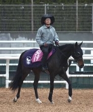 【チューリップ賞】武豊騎手と初コンビのアランカールは３着　猛然と追い込み桜花賞切符は獲得