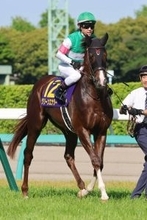 【皐月賞】２番人気のグリーンエナジーは７着　戸崎圭太騎手はジャスティンミラノ以来２年ぶりＶならず