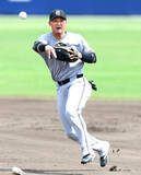 「巨人・吉川尚輝が２６日から１軍に復帰　２軍戦８試合で打率３割２分　負傷の石塚が抹消へ」の画像1