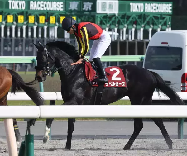 【フローラＳ】キャリア１戦で２番人気のラベルセーヌは５着　荻野極騎手「内枠で包まれる形になって…」