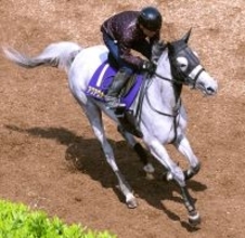 【天皇賞・春】騎手時代に牝馬のウオッカでダービー制覇　四位調教師がアクアヴァーナルで７３年ぶりの牝馬Ｖを目指す