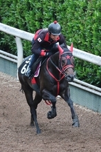 【葵Ｓ】鮫島克駿騎手「もうちょっとためた方がいいのかな…」１番人気タガノアラリアは伸び切れず７着　