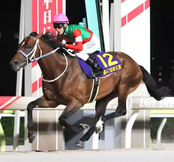ＪＢＣクラシックと帝王賞を制したキングズソードが競走馬登録抹消　今後はアロースタッドで種牡馬に