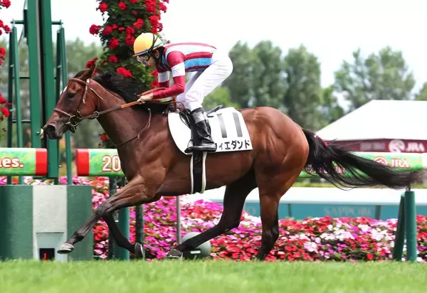 【札幌５Ｒ・２歳新馬】１番人気のウィエダンドが逃げ切り　次戦はクローバー賞を視野　横山和生騎手「気のよさはこの血統ですね」