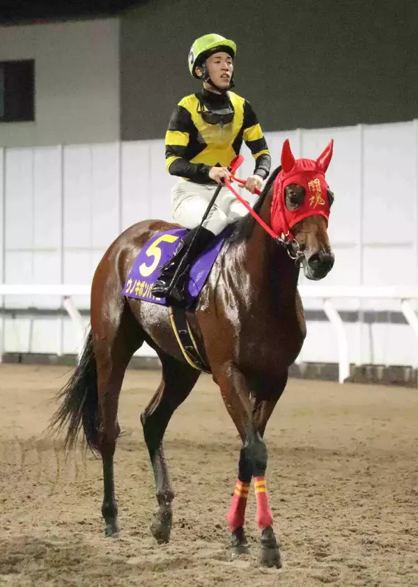 【川崎・若武者賞】１番人気のウノキボンバイエは２着　自分の形に持ち込めず室陽一朗騎手「悔しいです」