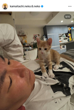 かまいたち山内健司、新たな“家族”迎え入れ「反響がとても大きくてビックリ」愛猫とのショット公開「幸せそう～」「自然と涙が」