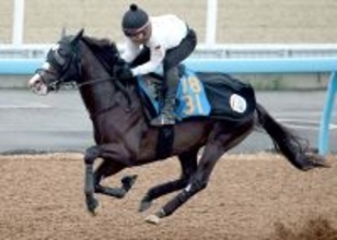 【ステイヤーズＳ】叔父に日本ダービー馬クロワデュノール　スタミナに優れた母系でマラソンレースを苦にしないラスカンブレス