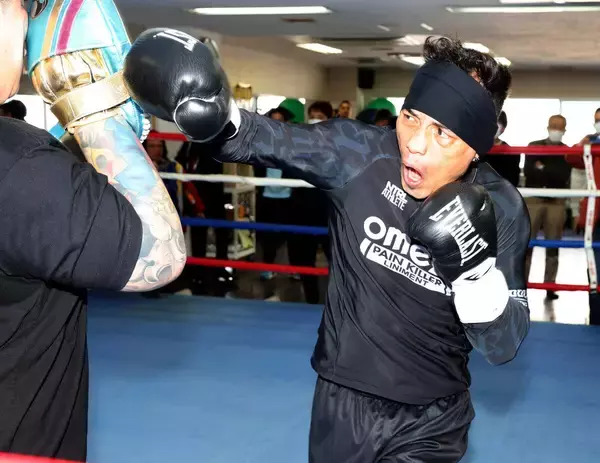 世界５階級王者ドネア、レイチェル夫人のミットに必殺の左フック炸裂　１７日・堤聖也戦へ公開練習