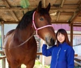 【今井千尋のばんえい日和】ばんえいダービーにホクセイテンリュウと初挑戦「積極的に運んで見せ場をつくりたい」