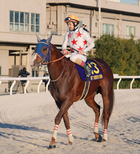 【注目馬動向】東京大賞典で１番人気ながら２着惜敗のミッキーファイトは放牧へ　田中博調教師「敗因としては…」